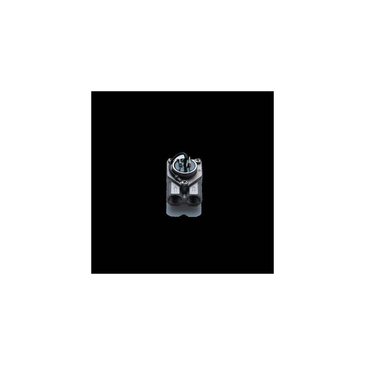 Flowmeter Rancilio