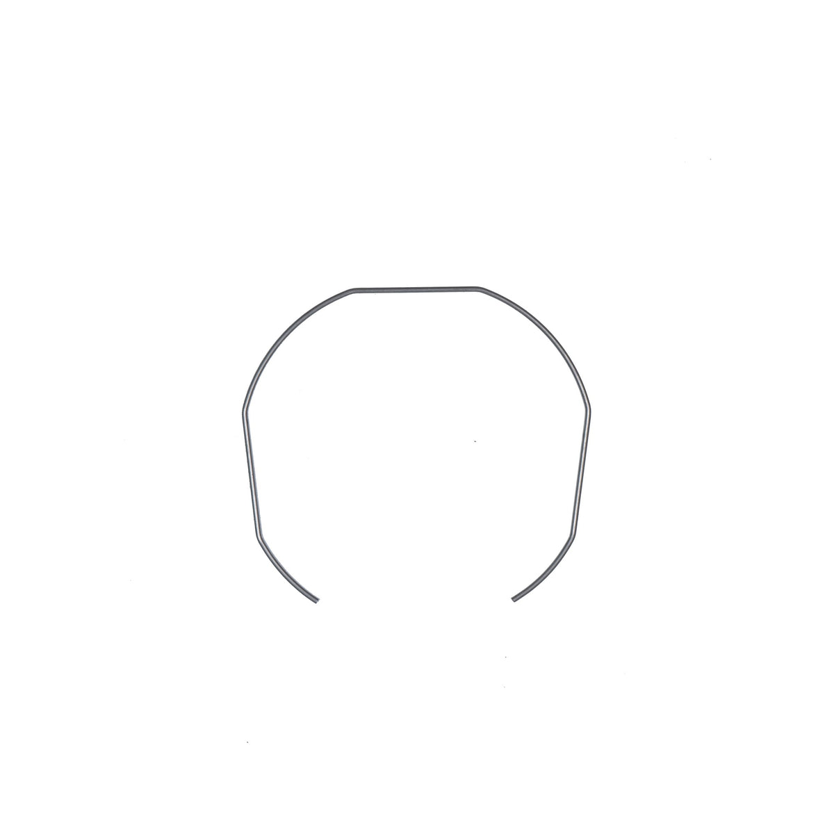 Filter holder spring