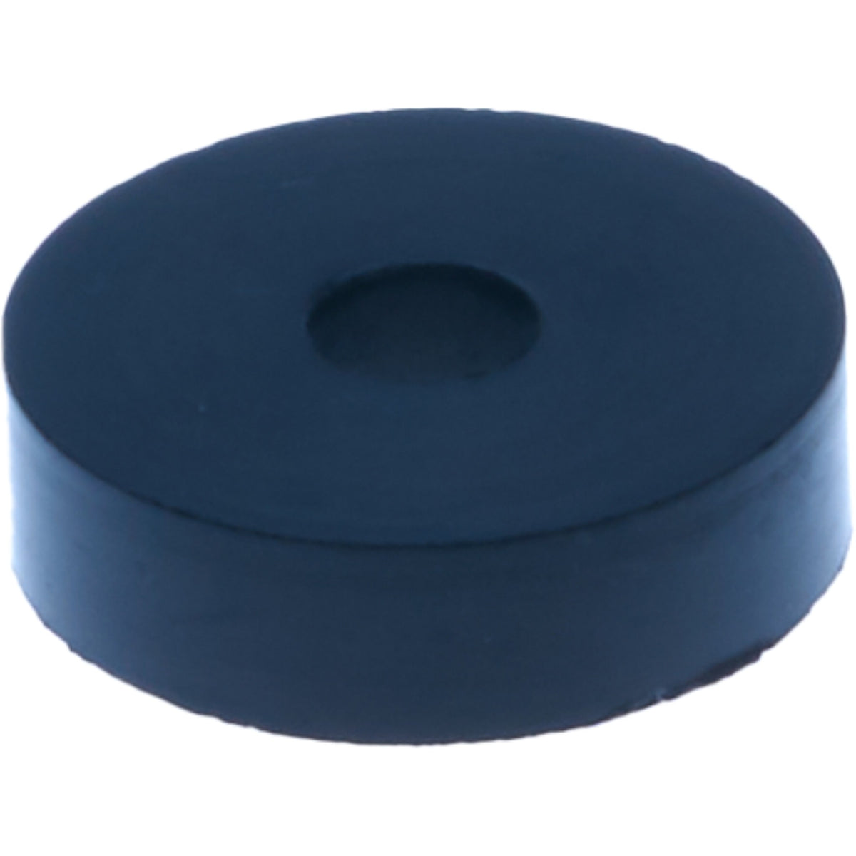 Wega Steam Ring Gasket