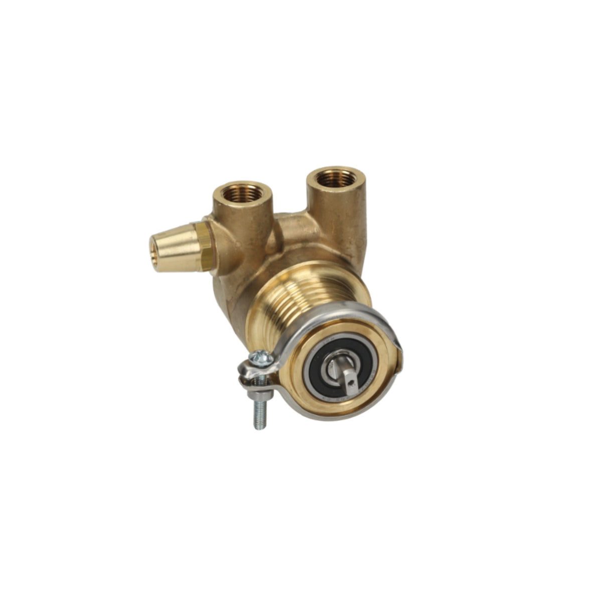 Rotary lobe pump 200LT. Clasp