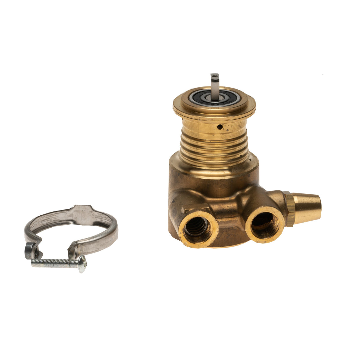 Rotary lobe pump 200LT. Clasp