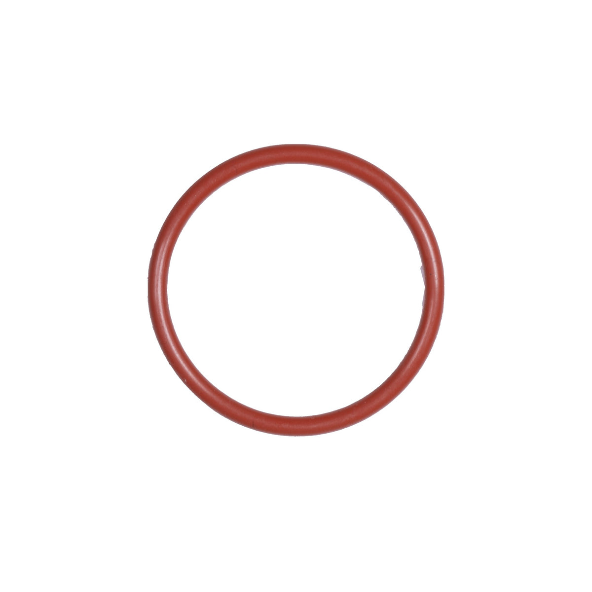 O-ring shower head
